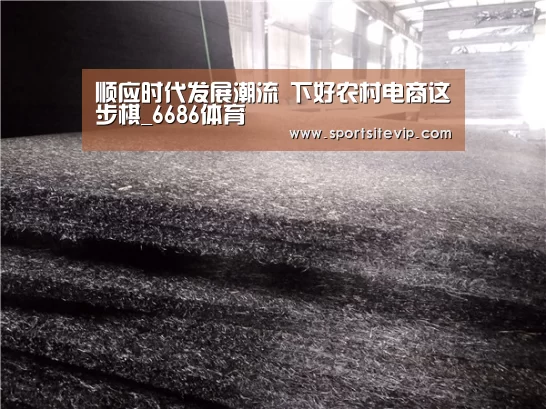 顺应时代发展潮流 下好农村电商这步棋_6686体育(图4) 6686体育