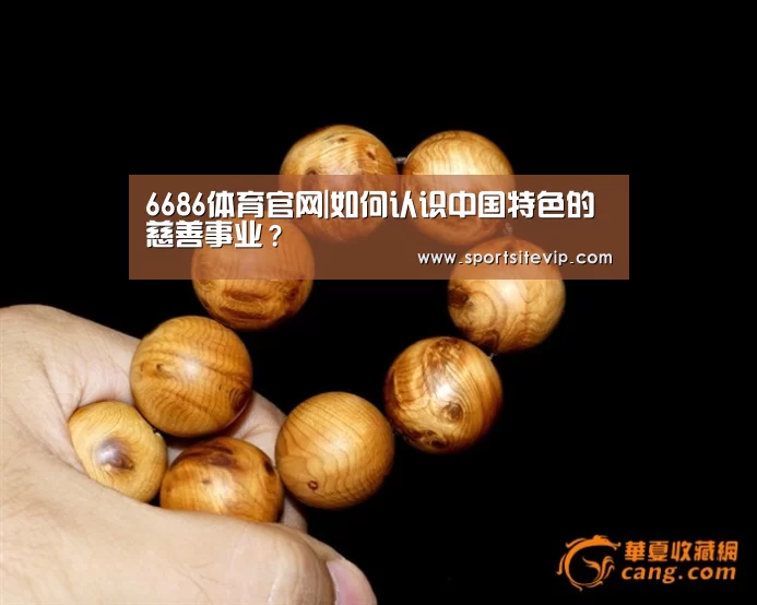 6686体育官网入口