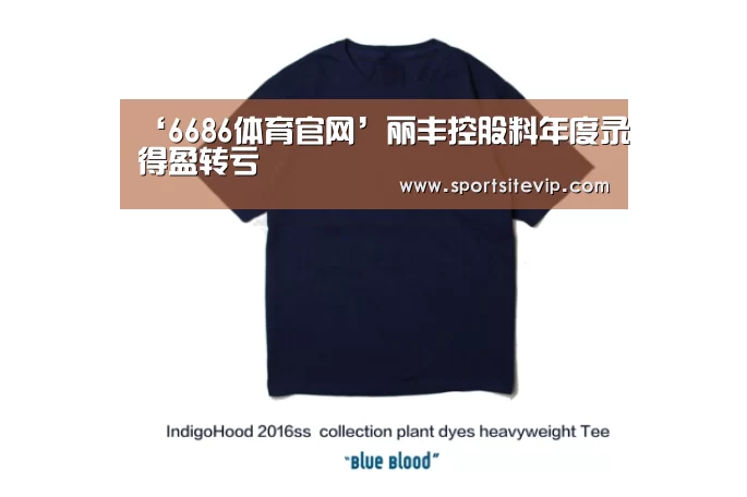 ‘6686体育官网’丽丰控股料年度录得盈转亏(图3) 6686体育app