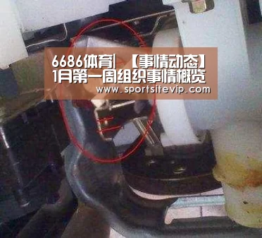 6686体育|
【事情动态】1月第一周组织事情概览(图1) 6686体育官网入口