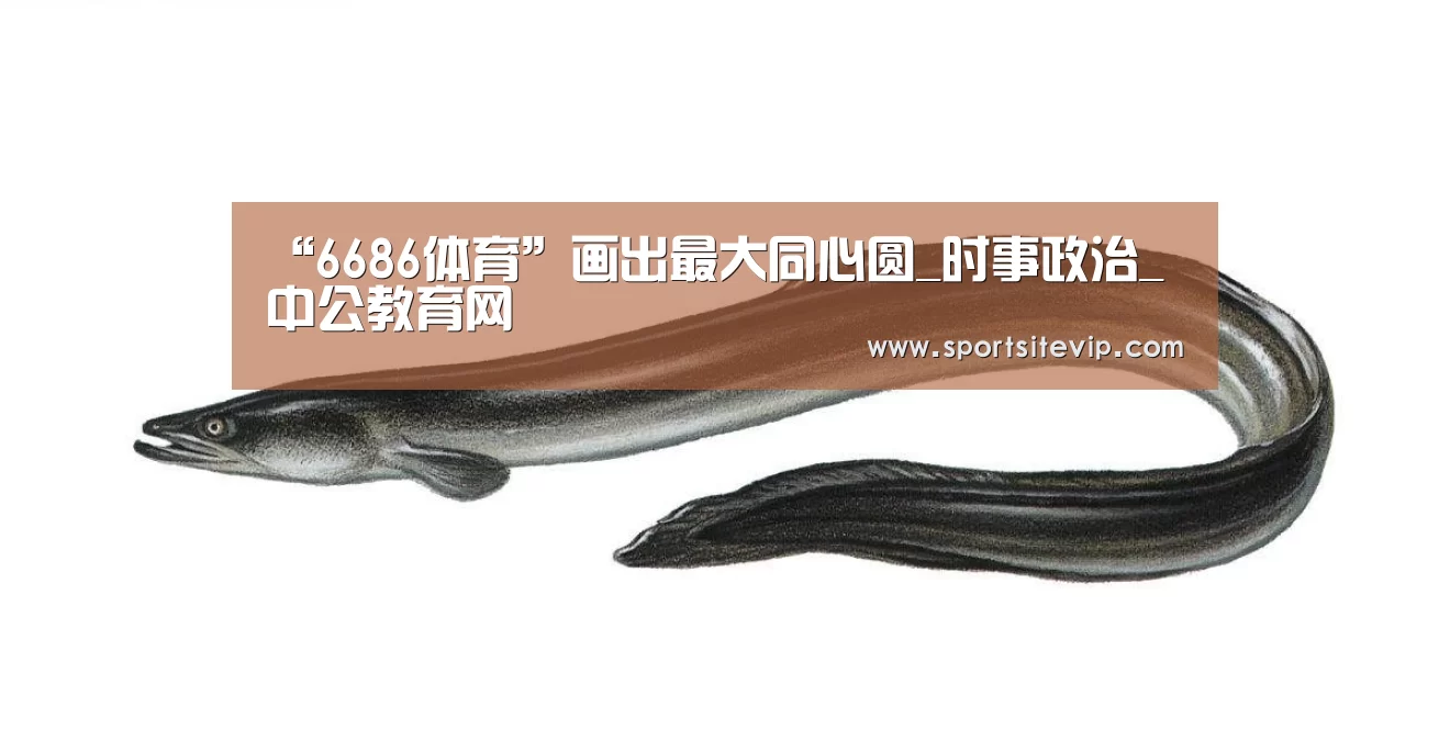 “6686体育”画出最大同心圆_时事政治_中公教育网(图2) 6686体育app