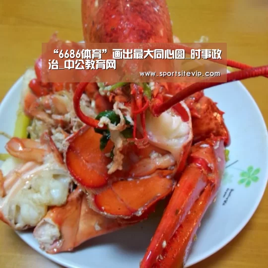 “6686体育”画出最大同心圆_时事政治_中公教育网(图3) 6686体育app